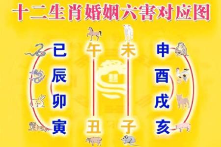 巧妙利用风水，提升您婚姻幸福