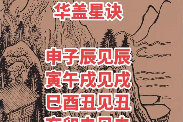 八字华盖查询免费在线，快速准确的八字命盘解析