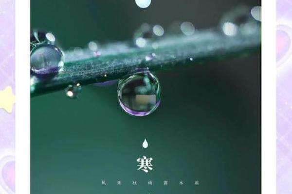 寒生露凝，透过民俗望寒露禁忌