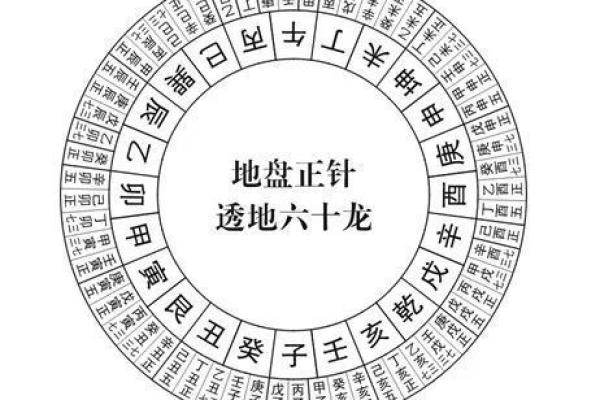 如何使用风水学中的原理对肺部气息进行优化