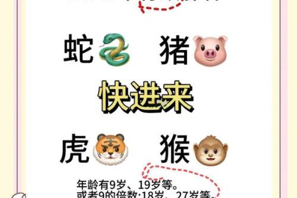 男生肖蛇配对，这几点你需要知道！
