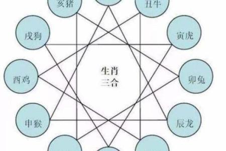 十五生肖：探索属鼠者的个性特征和相性配对