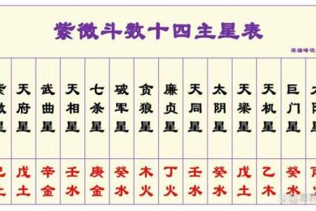 紫微斗数之子女宫与诸星，武曲星在子女宫是什么意思？