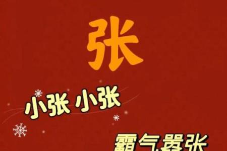 qq头像姓氏带字图片张，个性头像 姓氏张？