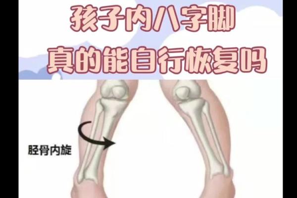 四岁内八字