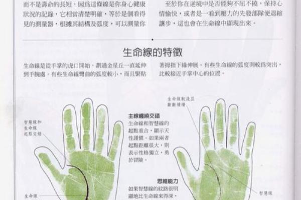《手相学习百科》：认识双手
