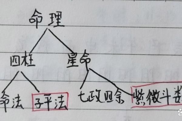 可爱的八字