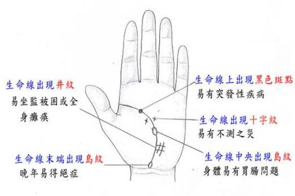 《手相学习百科》：生命线