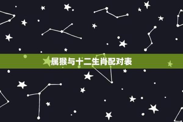 属猴的十二星座配对组合