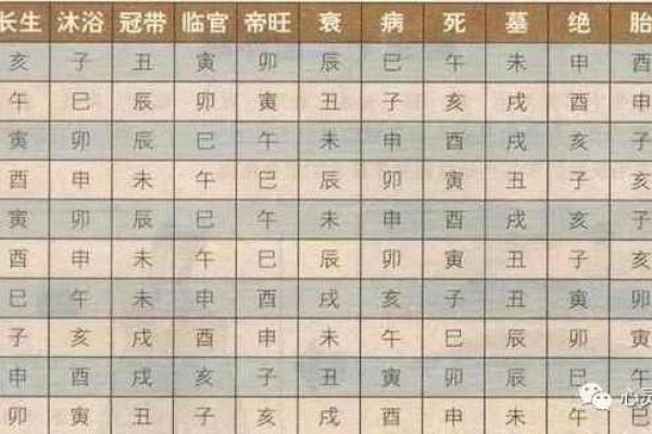 什么是八字死墓？如何判断八字死墓的地支伤？