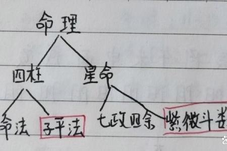 可爱的八字