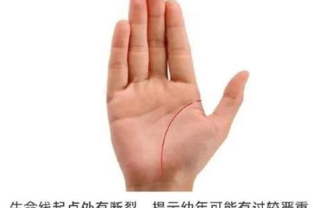 《手相学习百科》：生命线