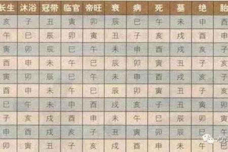 什么是八字死墓？如何判断八字死墓的地支伤？