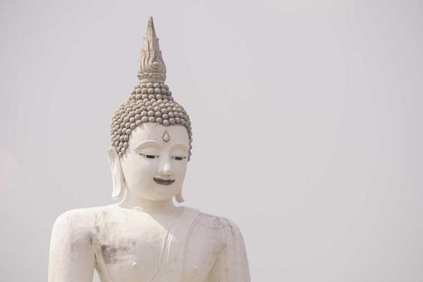 童子命排盘查询 , 童子命到底能不能换