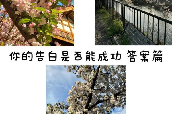 塔罗测试爱情，追求心仪对象许久不成功，还应该继续坚持么？