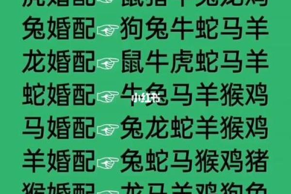 12生肖婚配属相配对查询，生肖配对查询表