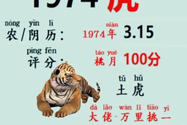 百分算命