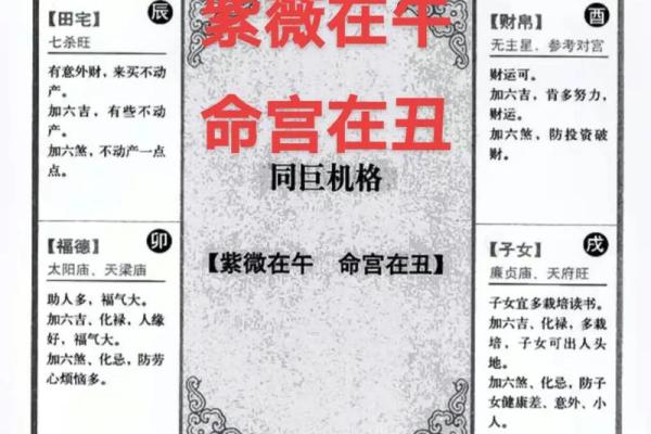 姓名紫薇斗数