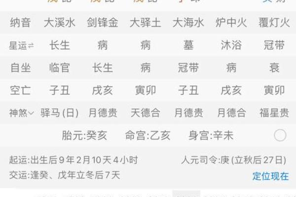 生辰八字夫妻宫壬水