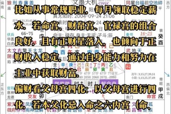 紫薇斗数紫薇星+财锦