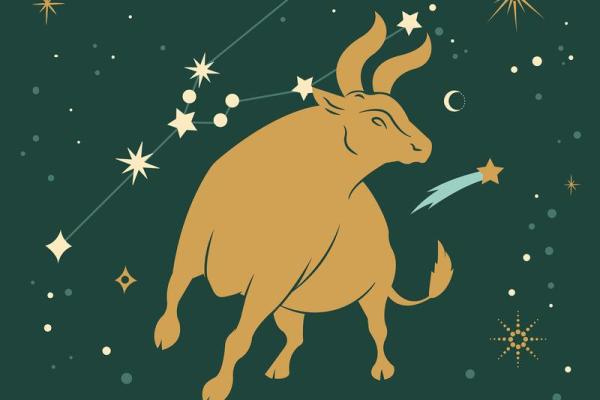 金牛座二区与双子座二区的星座配对