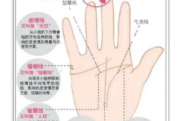《手相学习百科》：感情线