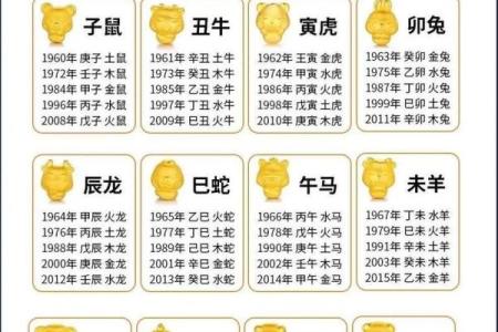 名字查询五行免费,名字测试五行命理