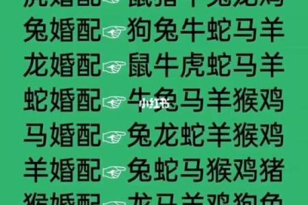 12生肖婚配属相配对查询，生肖配对查询表