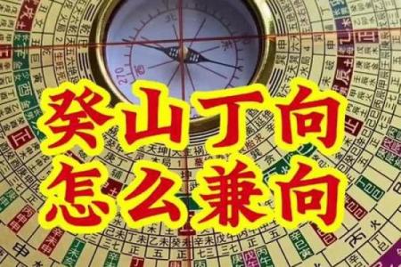 癸丁兼子午吉凶方位图