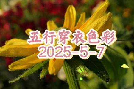 财神方位与五行配色  每日五行穿衣旺衣指南