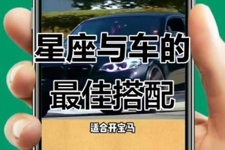12星座最适合开的是什么车