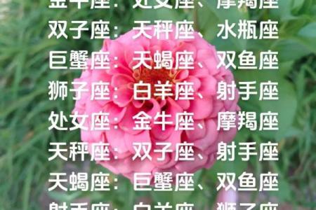 白羊金牛和狮子处女座配对怎么样