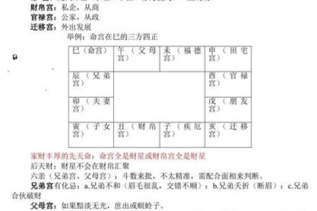 姓名紫薇斗数