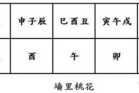 犯桃花的八字