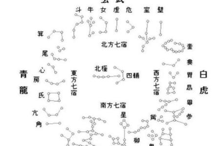 紫微斗数诸星落命宫之：阴煞星详解
