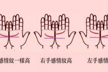 《手相学习百科》：感情线