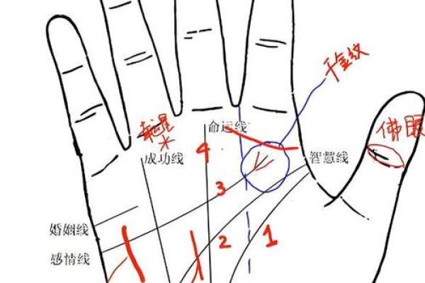 《手相学习百科》：手的轮廓特征