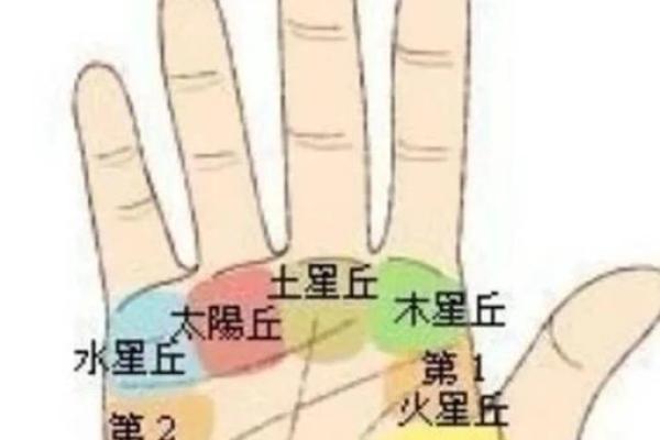 《手相学习百科》：太阳线