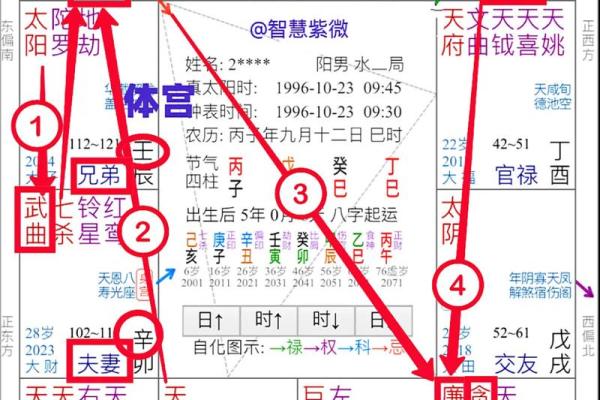 怎么理解紫薇斗数