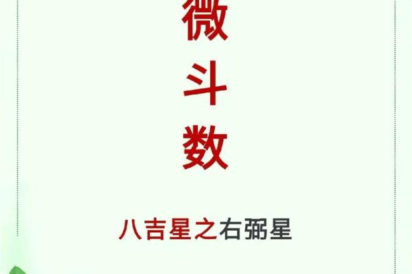 香港紫薇斗数高人
