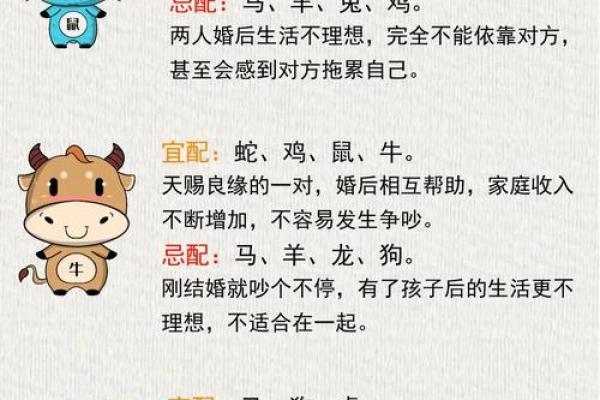 1962年属虎人和什么属相婚配好,1962年属虎的人婚姻配对详解