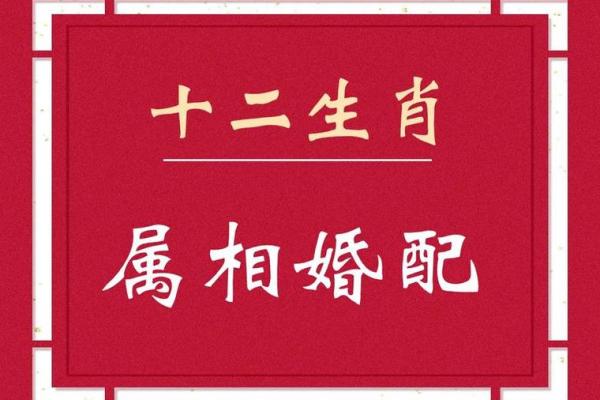 1962年属虎人和什么属相婚配好,1962年属虎的人婚姻配对详解