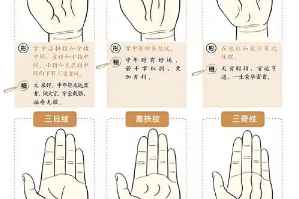 《手相学习百科》：手指