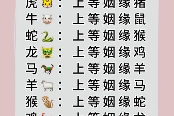 十二生肖姻缘配对生肖配对查询 十二生肖姻缘配对,12属相婚配表？