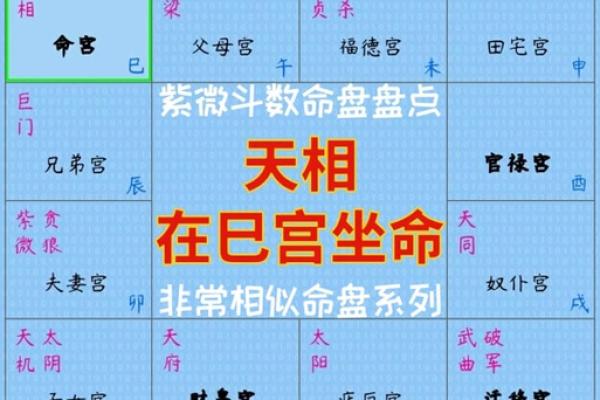 紫薇斗数太阴的排法