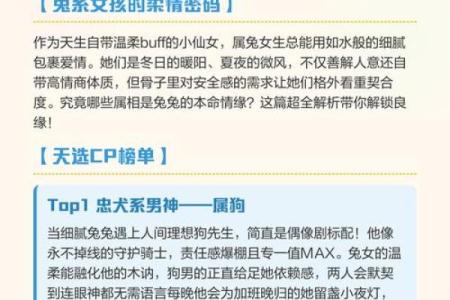 生肖兔的最佳婚配 谁跟属兔人更配对