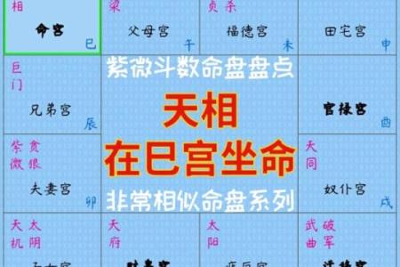 紫薇斗数太阴的排法