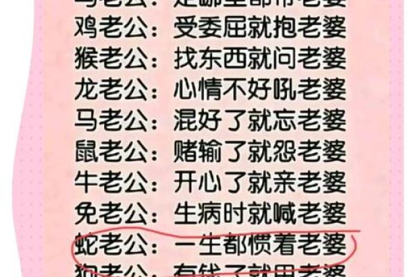 婚姻配对属蛇和属猪相克怎么办