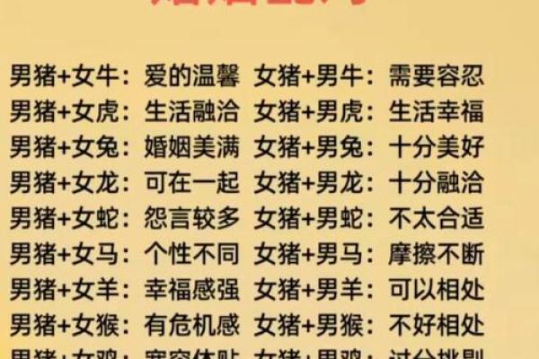 婚姻配对属蛇和属猪相克怎么办