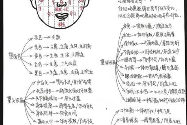 脸的各部位胎记算命详解